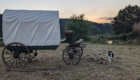 Chambre d'hôte Calèche Western dans la Prairie